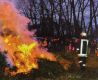 Lichterloh brannten die alten Weihnachtsbäume auf dem Anger, allerdings sorgte der heftige Regen für eine dichte Qualmwolke.brFoto: Volksstimme